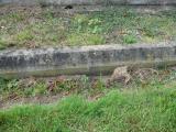 image of grave number 835741